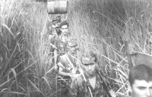 081-fazendaalegria.jpg (235318 bytes)