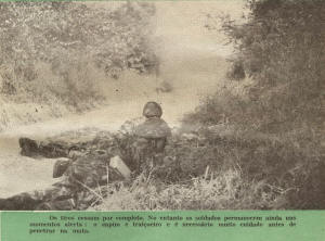 160-2-DOC-accao-pverde-report-6.jpg (1215898 bytes)