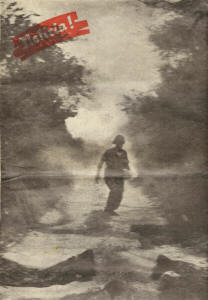 162-DOC-accao-pverde-report-8.jpg (4133420 bytes)